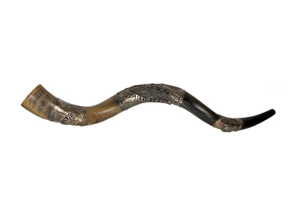 Jementisches Kudo Horn Schofar mit Silber Applikationen ca. 60cm