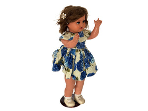 Descriptive image text